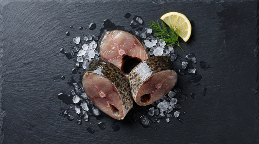 Live Sea Murrel / Kadal Veral / கடல் வெறால்