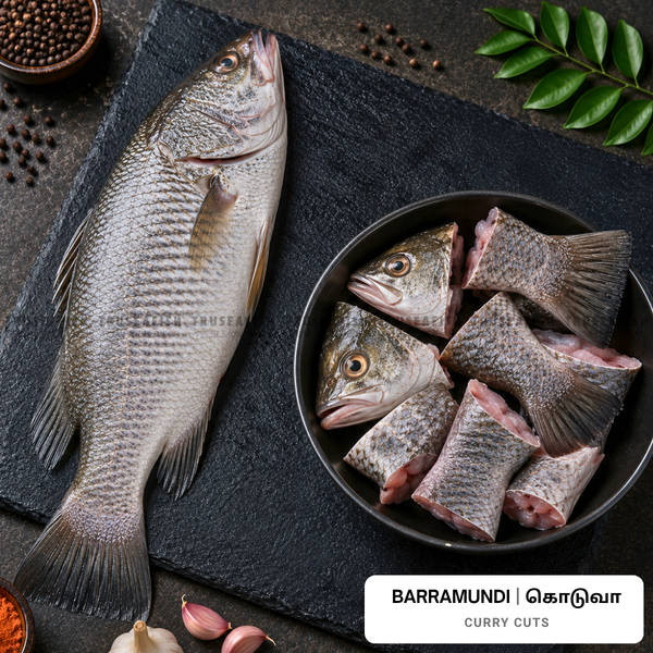 Barramundi (Koduva) Curry Cuts