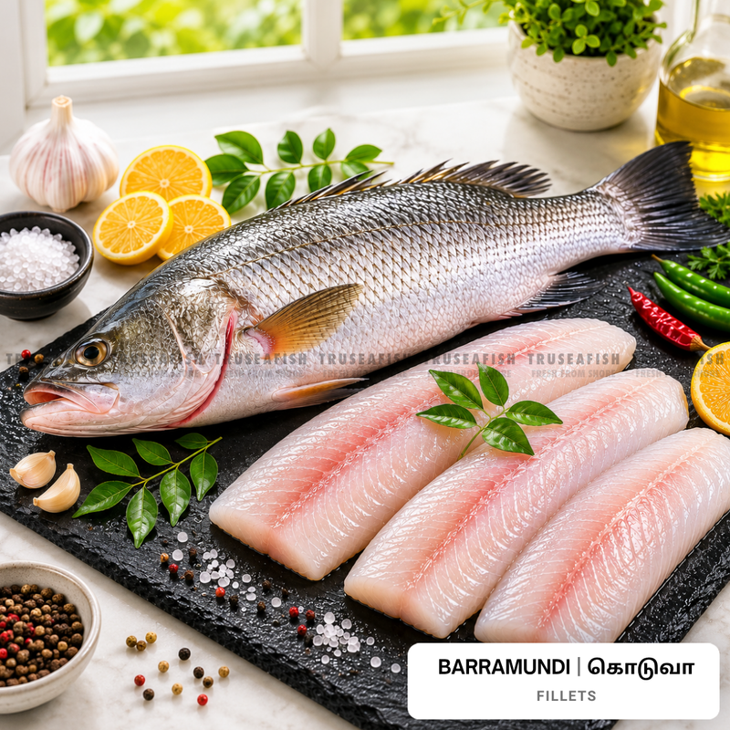 Barramundi (Koduva) Fillets