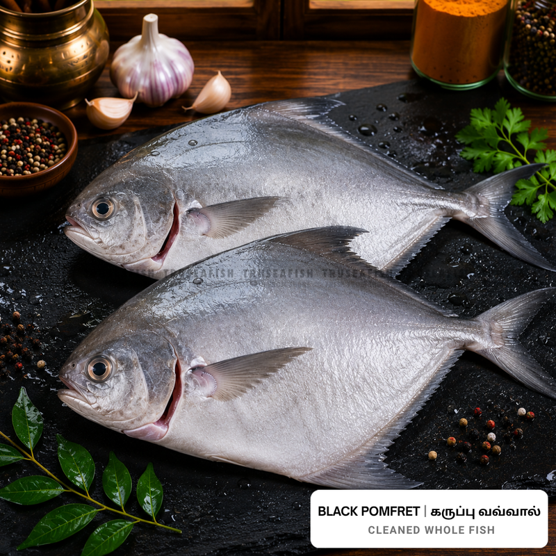Black Pomfret (Karuppu Vavval) Cleaned Whole Fish