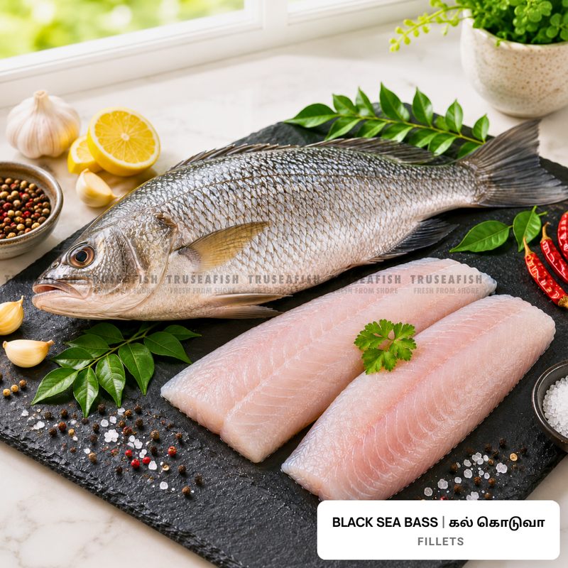 Black Sea Bass (Kal Koduva) Fillets