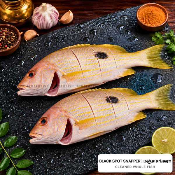 Black Spot Snapper (Manja Sankara) Cleaned Whole Fish