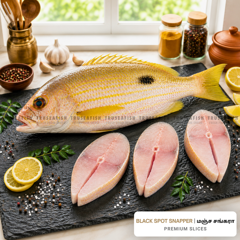 Black Spot Snapper (Manja Sankara) Premium Slices