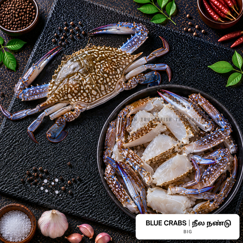Blue Crabs (Neela Nandu) - Big