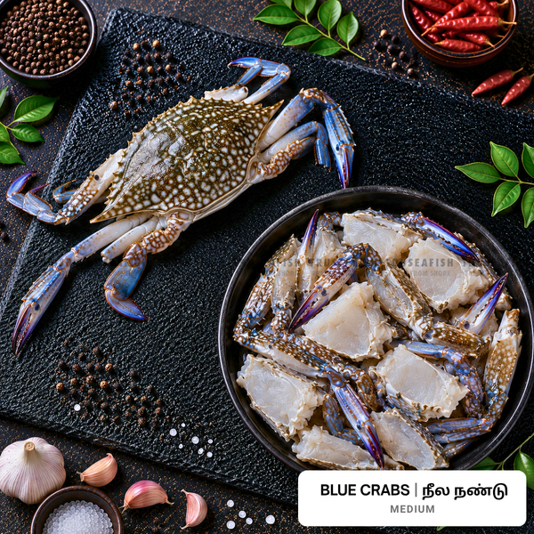 Blue Crabs (Neela Nandu) - Medium