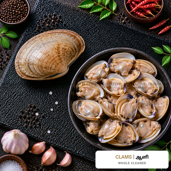 Clams (Aali)