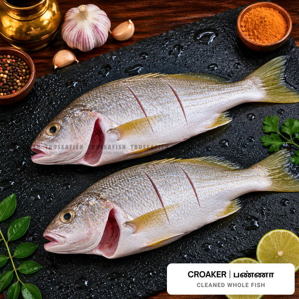 Croaker (Panna) Cleaned Whole Fish