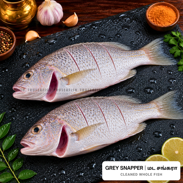 Grey Snapper (Mada Sankara) Cleaned Whole Fish