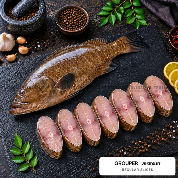 Grouper (Kalava) Regular Slices