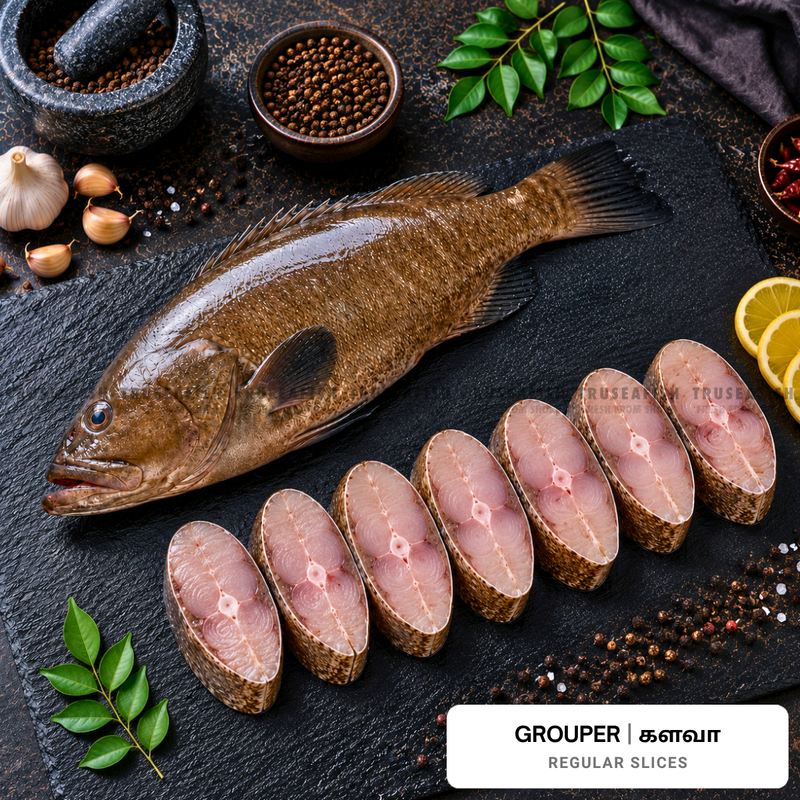 Grouper (Kalava) Regular Slices