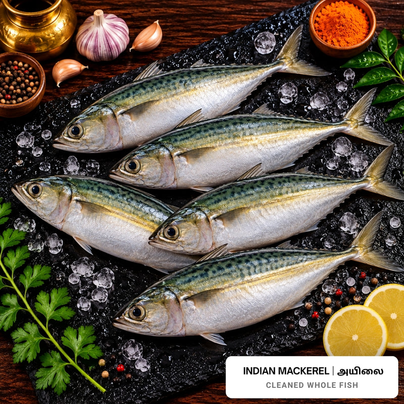 Mackerel (Kanangathai / Ayala / Aila) Cleaned Whole Fish