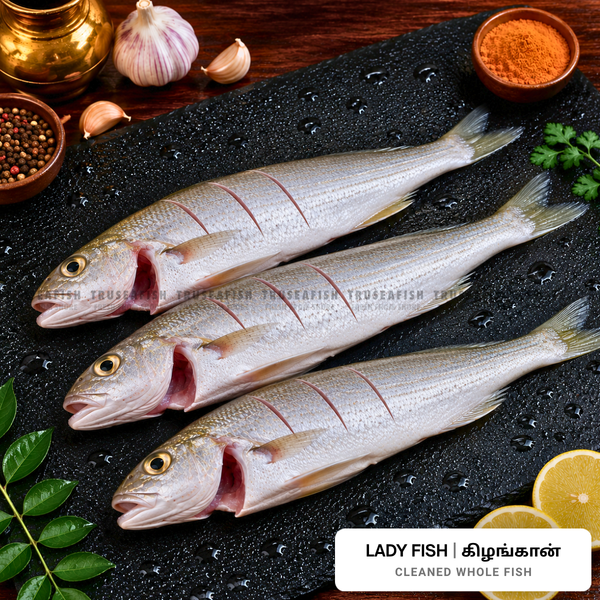 Lady Fish (Kizhangaan) Cleaned Whole Fish