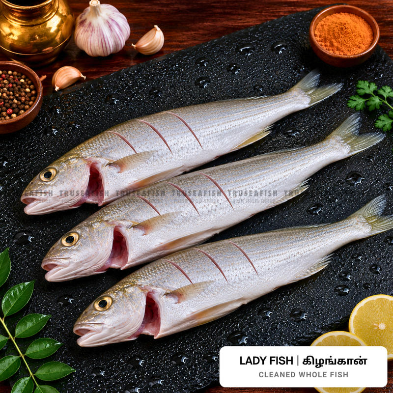 Lady Fish (Kizhangaan) Cleaned Whole Fish