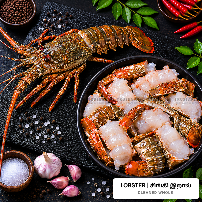 Lobster (Singi Iraal)
