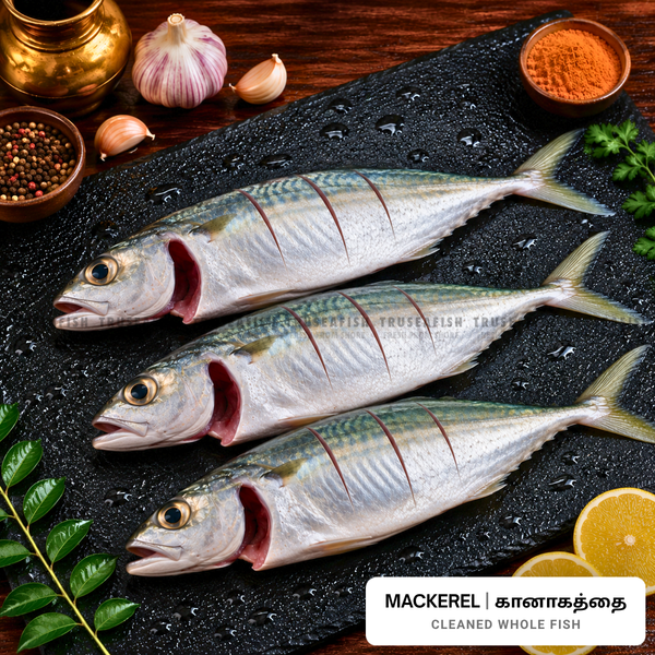 Mackerel (Kanangathai) Cleaned Whole Fish