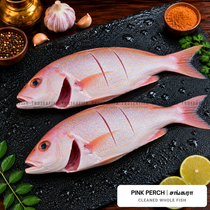Pink Perch (Sankara) Cleaned Whole Fish