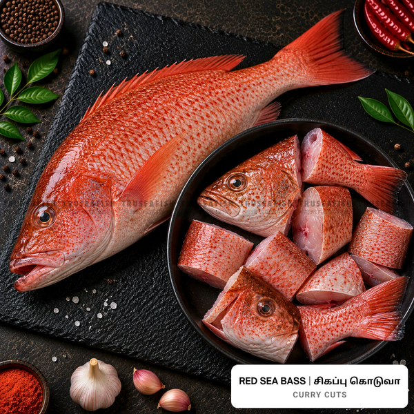 Red Sea Bass (Sigappu Koduva) Curry Cuts