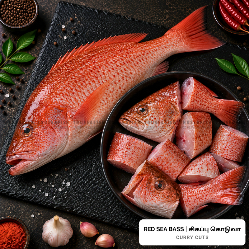 Red Sea Bass (Sigappu Koduva) Curry Cuts