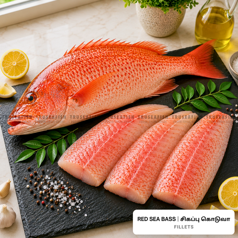 Red Sea Bass (Sigappu Koduva) Fillets