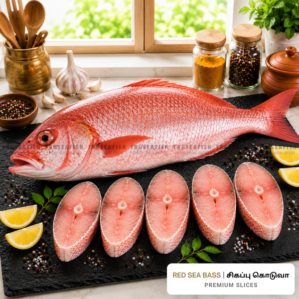 Red Sea Bass (Sigappu Koduva) Premium Slices