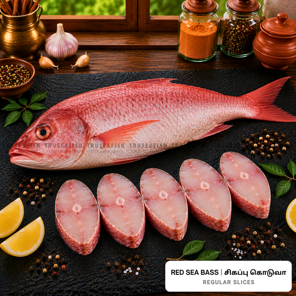 Red Sea Bass (Sigappu Koduva) Regular Slices