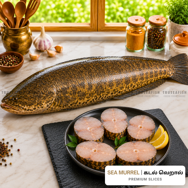 Sea Murrel (Kadal Veral) Premium Slices