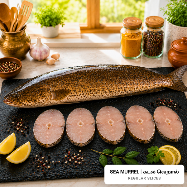 Sea Murrel (Kadal Veral) Regular Slices