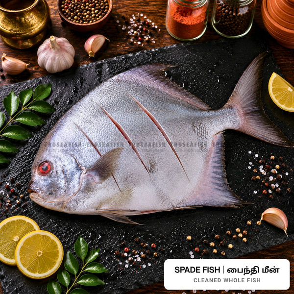 Spade Fish (Paiynthi Meen) Cleaned Whole Fish