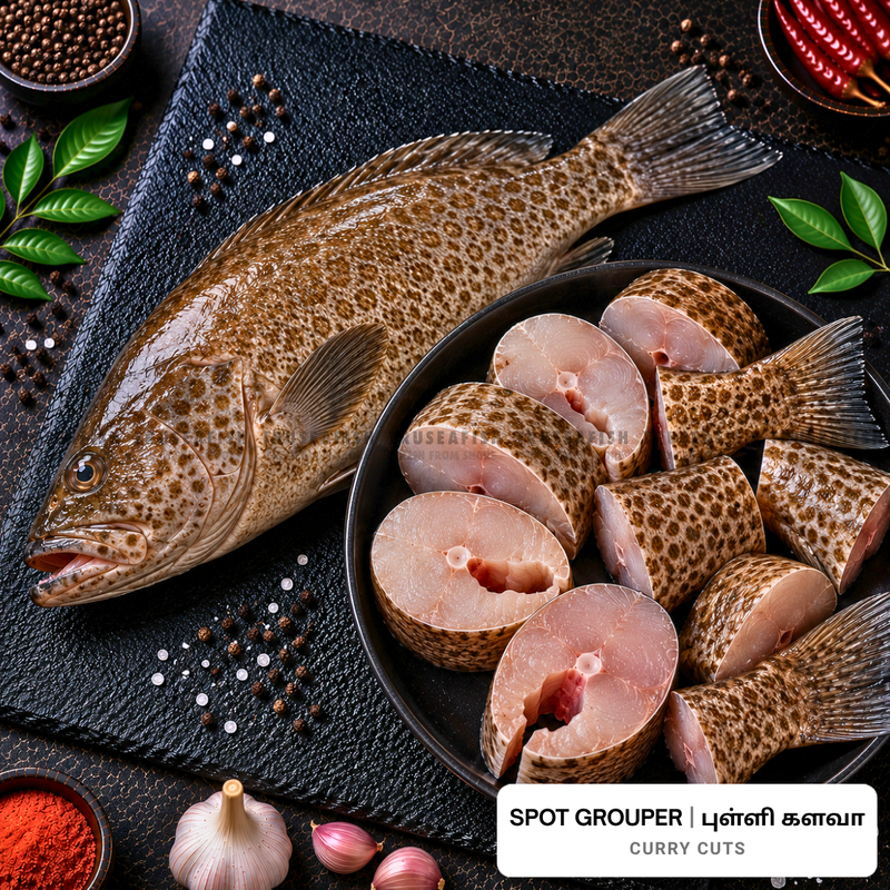 Spot Grouper (Pulli Kalava) Curry Cuts