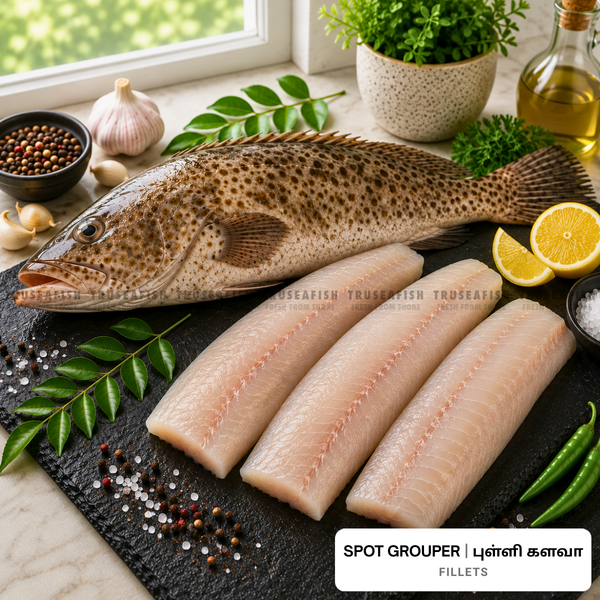 Spot Grouper (Pulli Kalava) Fillets