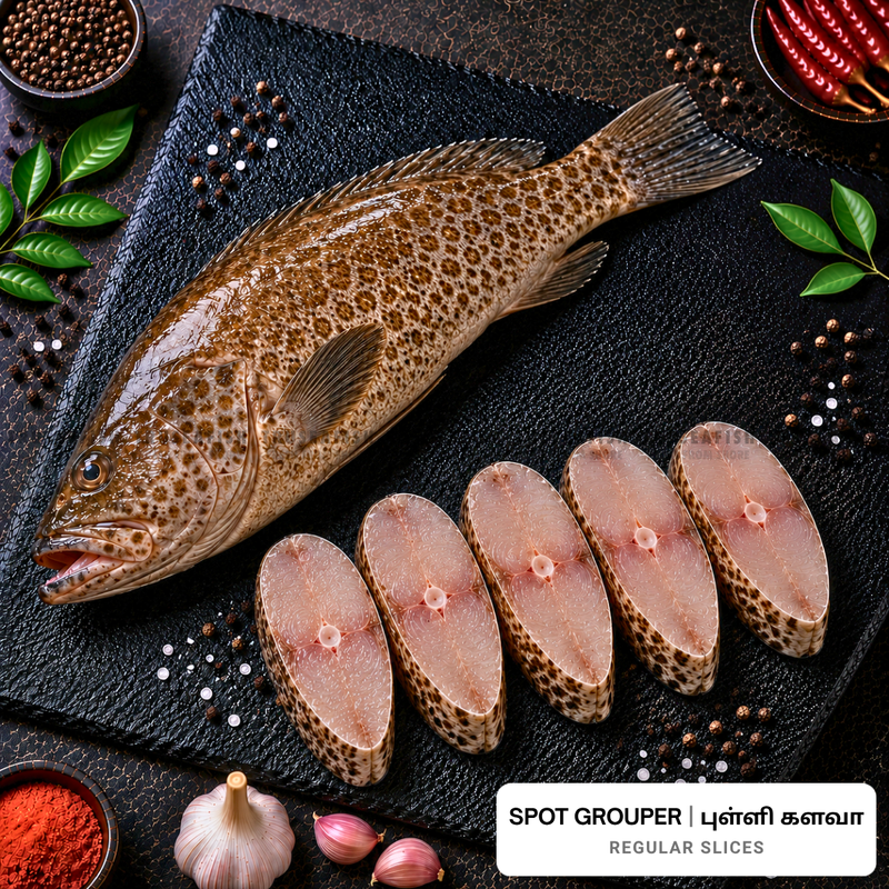 Spot Grouper (Pulli Kalava) Regular Slices