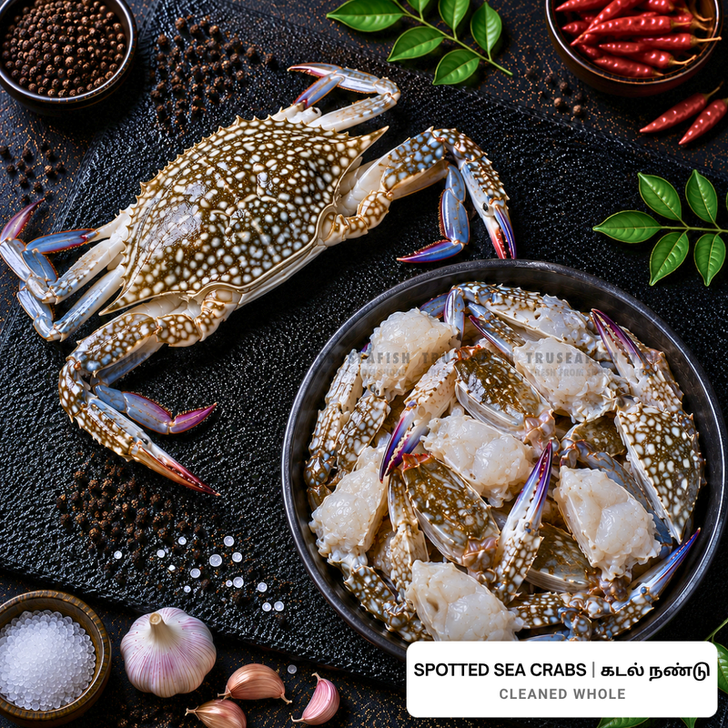 Spotted Crabs (Kadal Nandu)