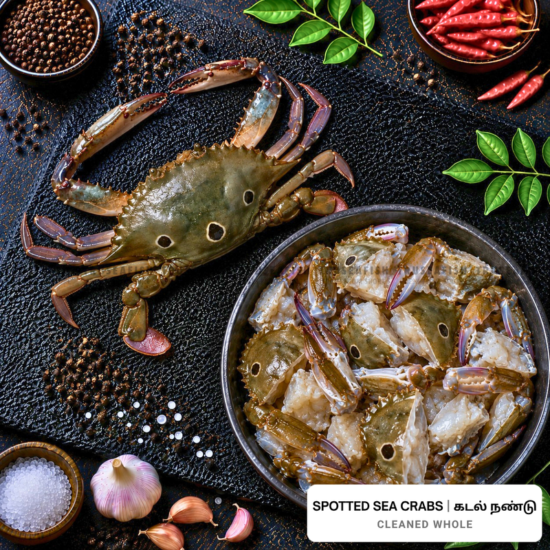 Spotted Sea Crabs (Kadal Nandu)
