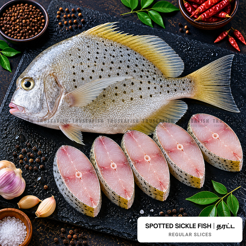 Spotted Sickle Fish (Tharatta)