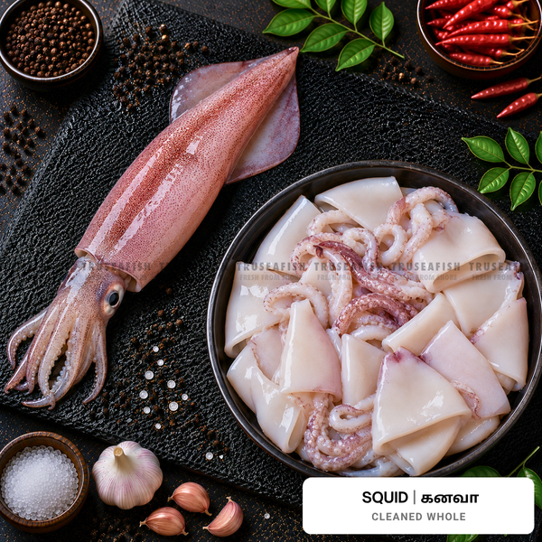 Squid (Kanava)