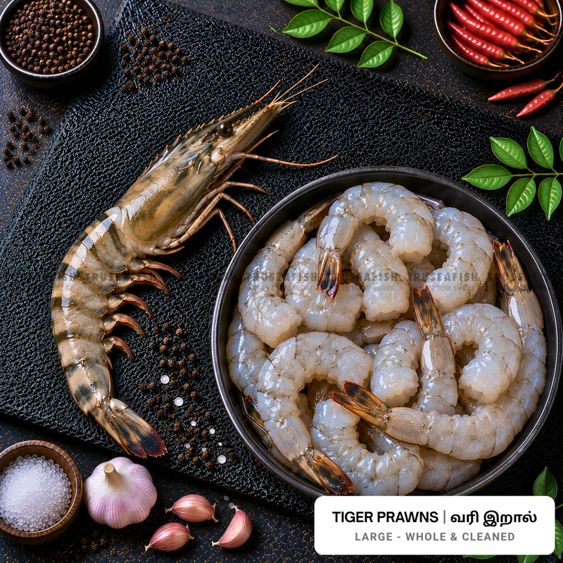Tiger Prawns (Vari Iral) - Large