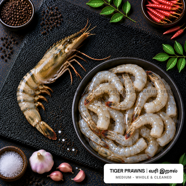 Tiger Prawns (Vari Iral) - Medium