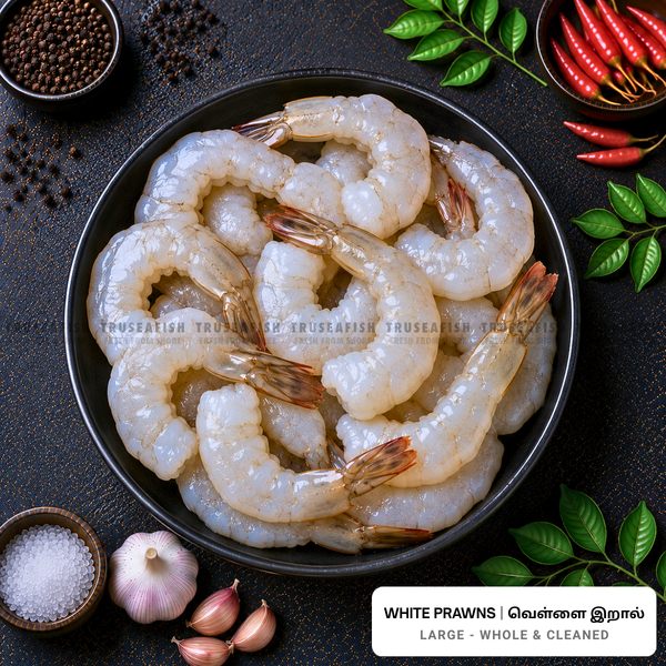 White Prawns (Vella Yera) - Large