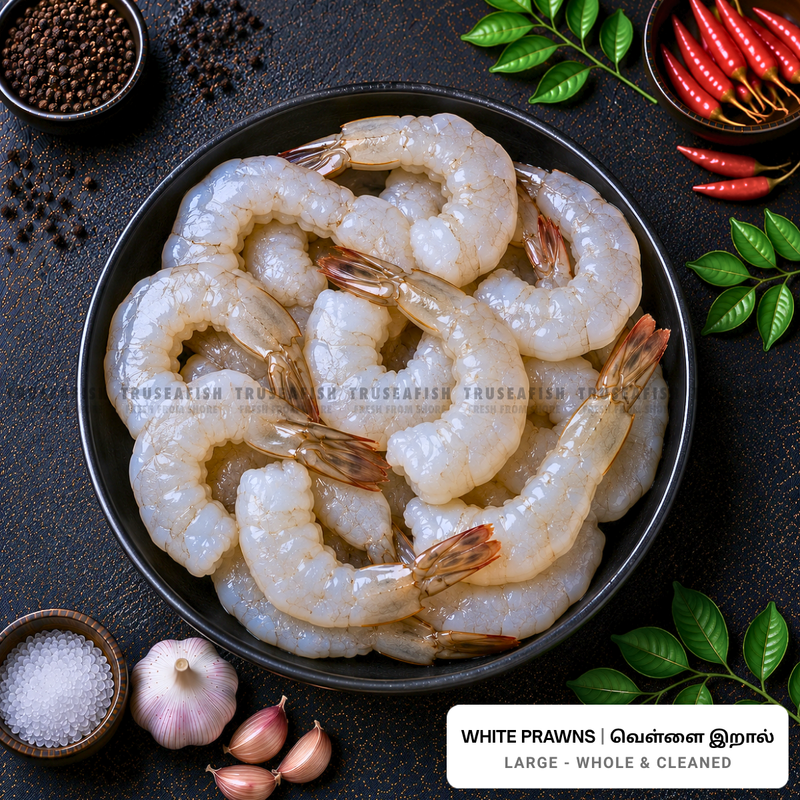 White Prawns (Vella Yera) - Large