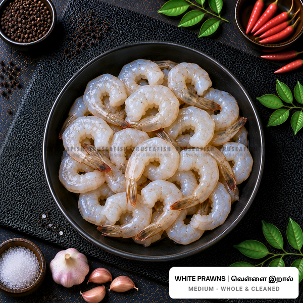 White Prawns (Vella Yera) - Medium