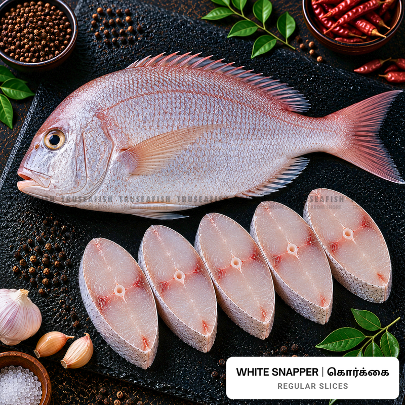 White Snapper (Korkkai)