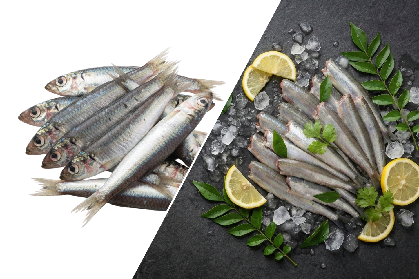 Anchovy / Nethili / நெத்திலி