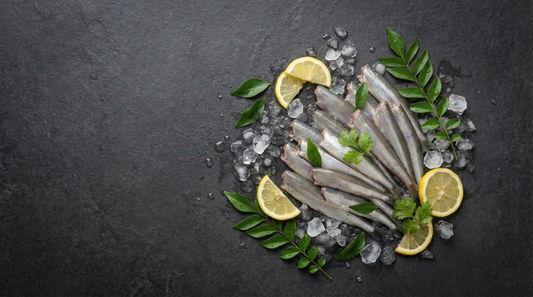 Anchovy / Nethili / நெத்திலி