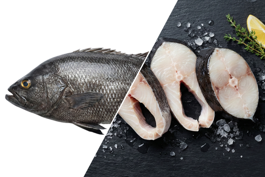 Live Black Sea Bass / Kal Koduva / கல் கொடுவா