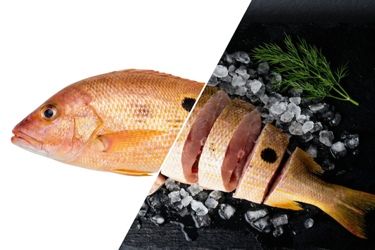 Black Spot Snapper / Manja Sankara / மஞ்ச சங்கரா