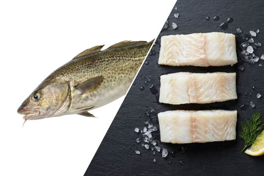 Cod Fish / Kalavan / கலவான் (Medium)