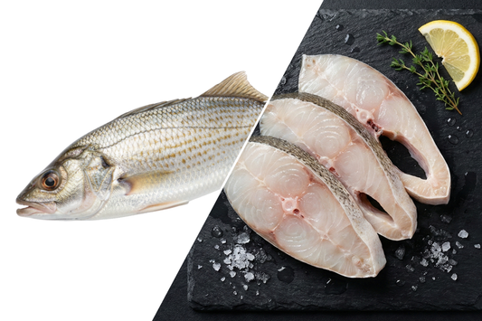 Croaker / Panna / பண்ணா