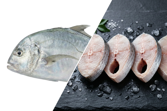 Diamond Trevally / Kannadi Paarai / கண்ணாடி பாறை (Medium)