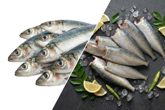 Sardines / Mathi / மத்தி