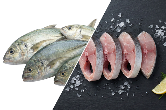 Trevally / Thegai Paarai / தேங்காய் பாறை (Medium)